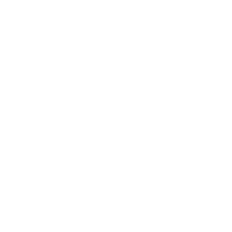 Cantatas for soprano and continuo from «Tributi Armonici», 1699